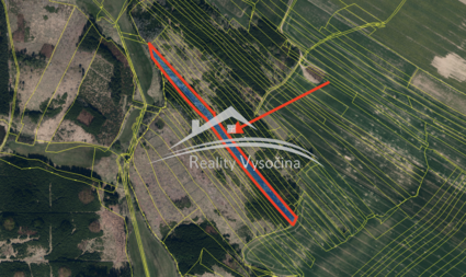 Prodej lesního pozemku 8 890 m2, Žirovnice - Fotka 5