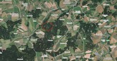 Prodej lesních pozemků 98 528 m2 Moraveč, Pelhřimov